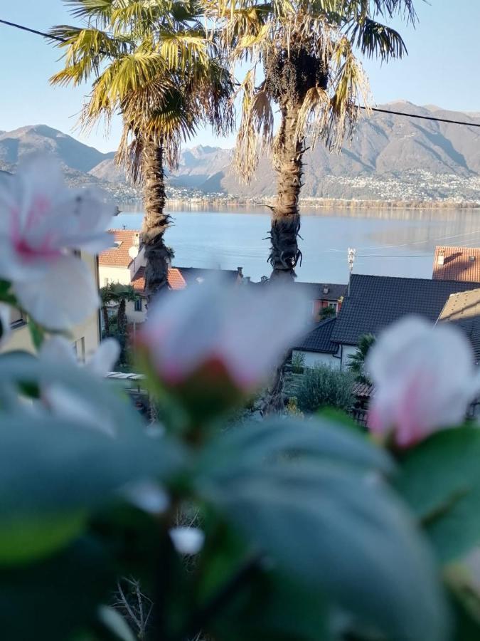 Albergo Ristorante Al Portico Gerra  Luaran gambar